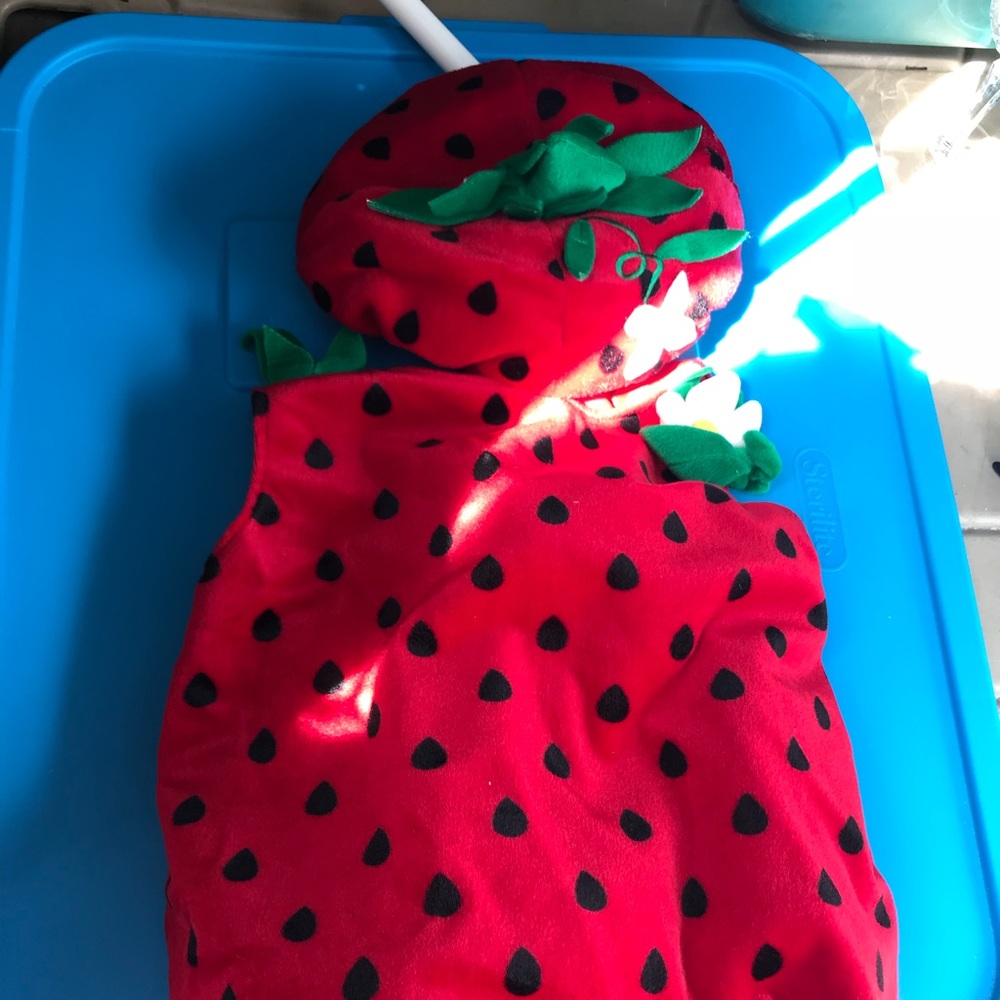 Strawberry costume